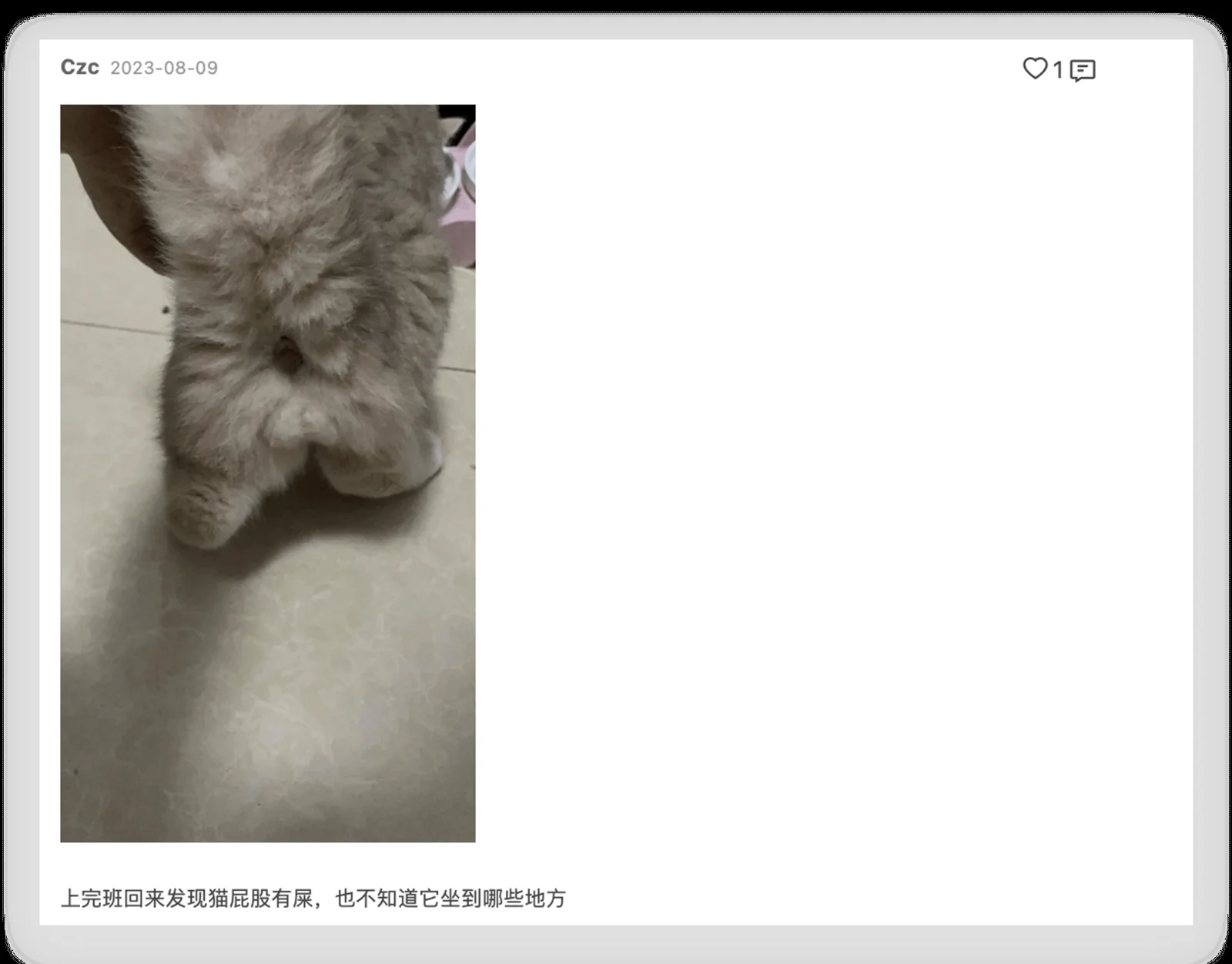 真他妈烦 · 19